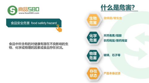 餐飲業(yè)食品安全管理體系 企業(yè)管理的核心引擎